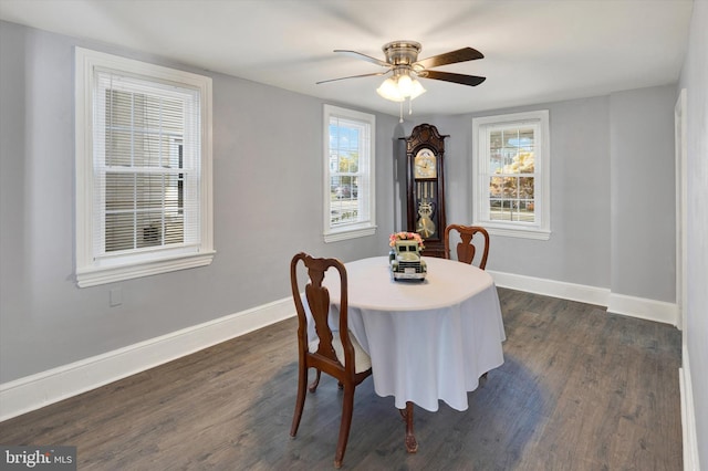 dining space featuring ceiling fan and dark hardwood / wood-style flooring