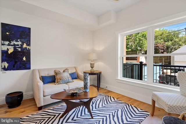 living room with hardwood / wood-style floors