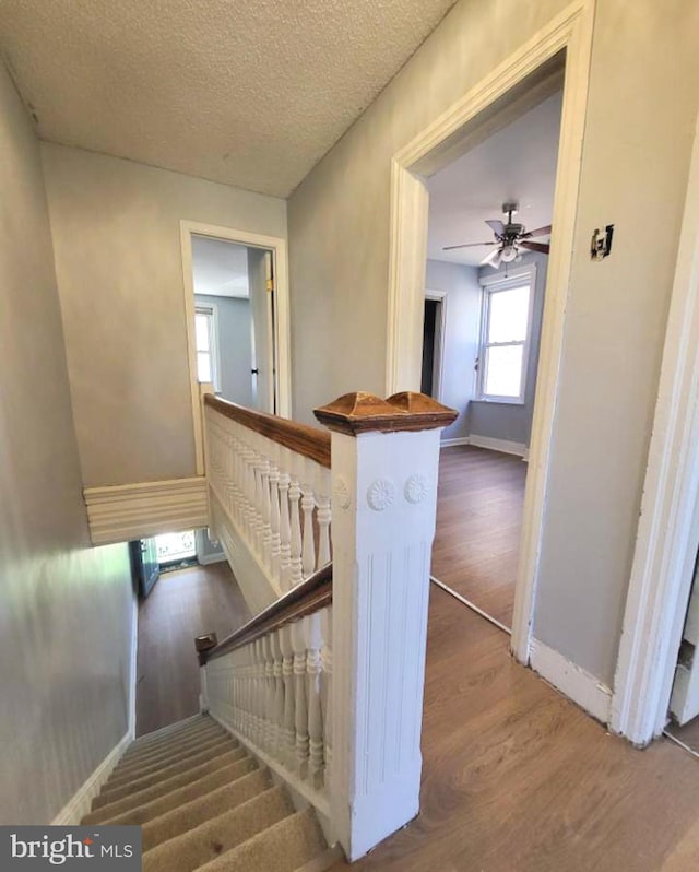 stairs with a textured ceiling and hardwood / wood-style flooring