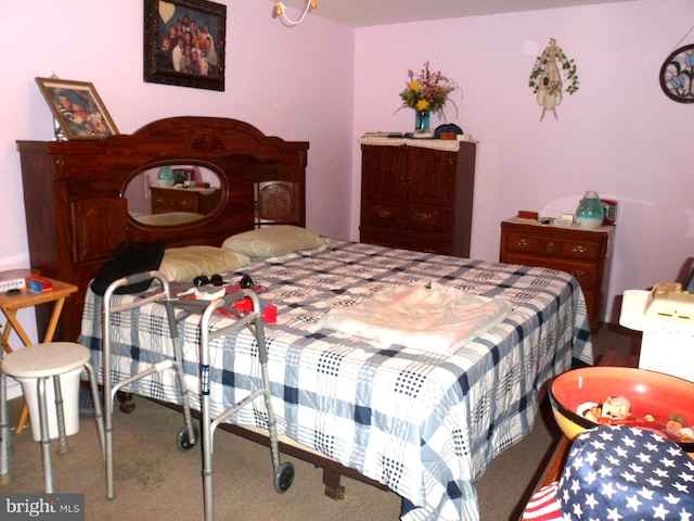 7548 Linglestown Rd, Harrisburg, PA 17112 - view of carpeted bedroom