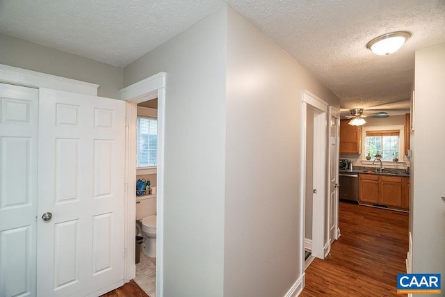 corridor featuring a textured ceiling, sink, and dark wood-type flooring