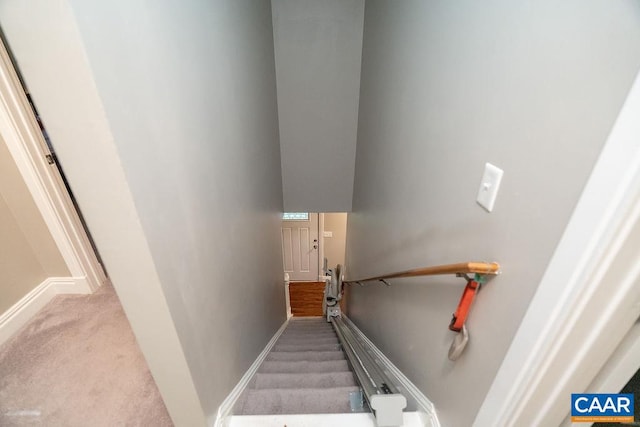 stairs with carpet flooring