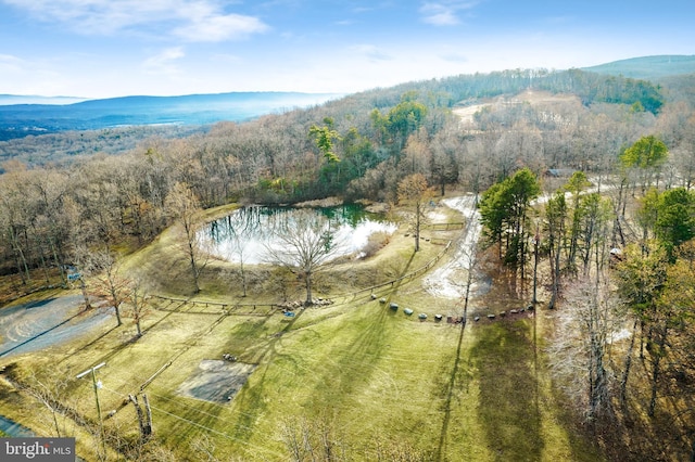 birds eye view of property featuring a water and mountain view