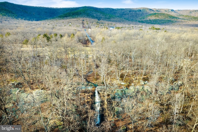 view of mountain feature