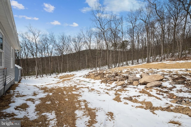 view of yard covered in snow