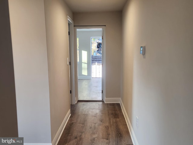 corridor featuring dark hardwood / wood-style flooring