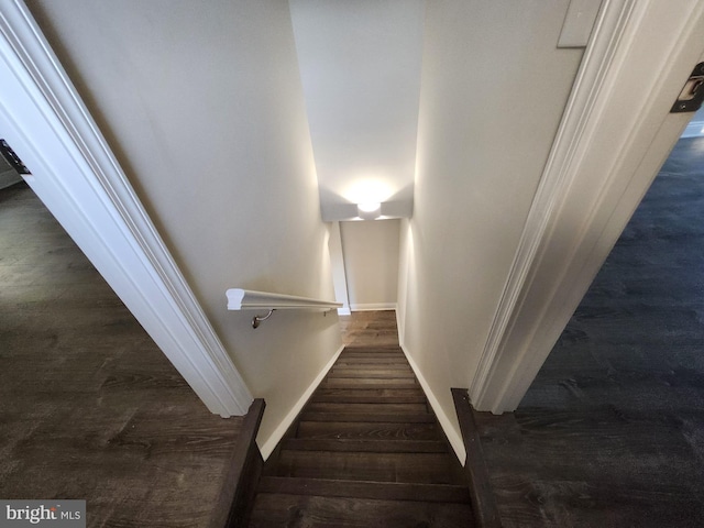 stairway with hardwood / wood-style flooring