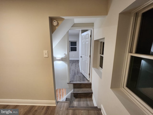 stairway with hardwood / wood-style flooring