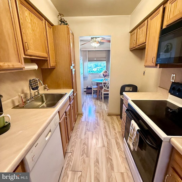 kitchen with ceiling fan, light hardwood / wood-style floors, white appliances, and sink