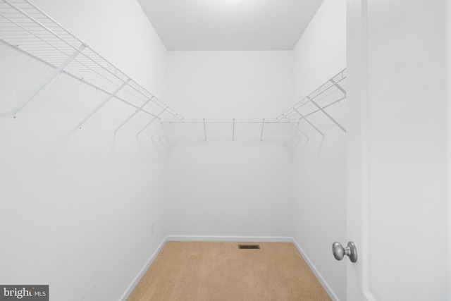 walk in closet featuring carpet floors