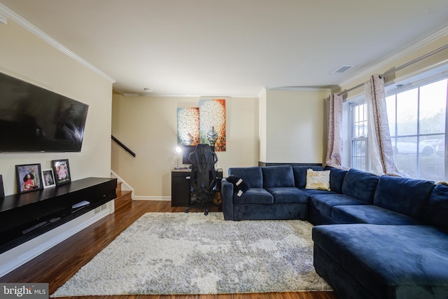 living room featuring dark wood-type flooring and crown molding