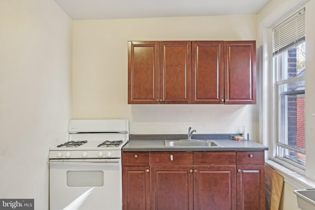 kitchen featuring sink, white range with gas cooktop, and plenty of natural light