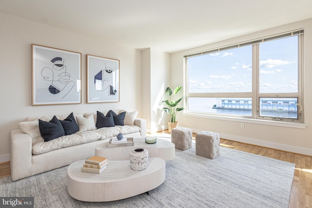 living room featuring a water view, wood-type flooring, and a healthy amount of sunlight