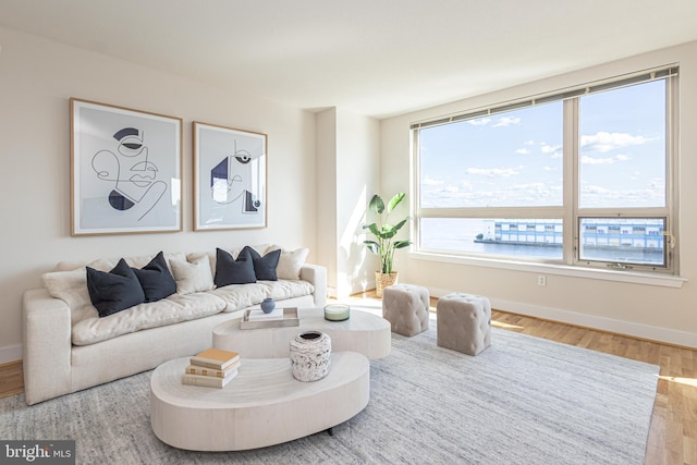 living room featuring wood finished floors and baseboards