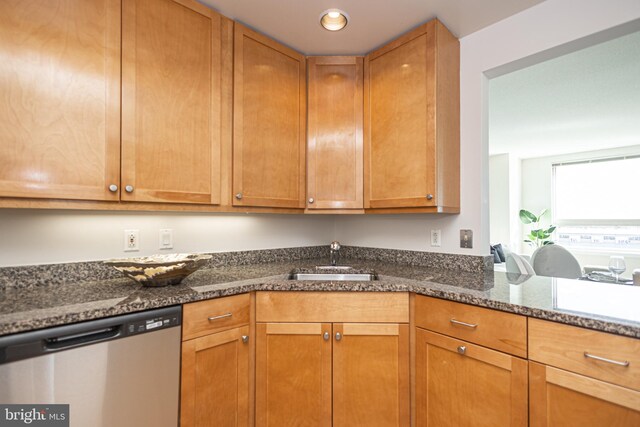 kitchen with stainless steel dishwasher, sink, and dark stone counters