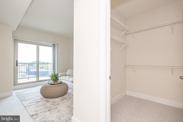 spacious closet featuring light carpet