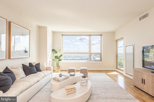 living room with light hardwood / wood-style floors and plenty of natural light