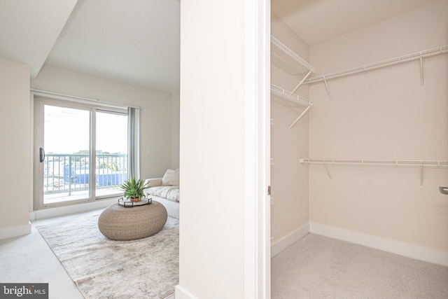 walk in closet with light carpet