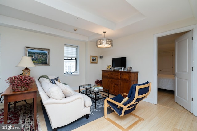 living room featuring light wood-type flooring and a raised ceiling