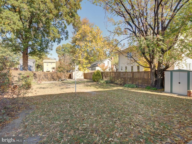 view of yard featuring a storage shed