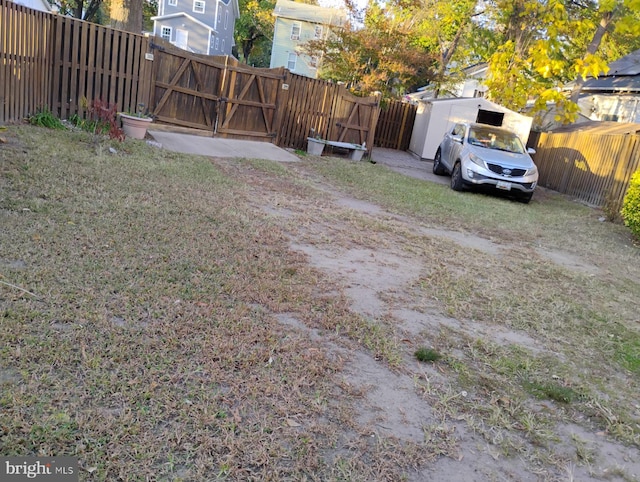 view of yard with a shed