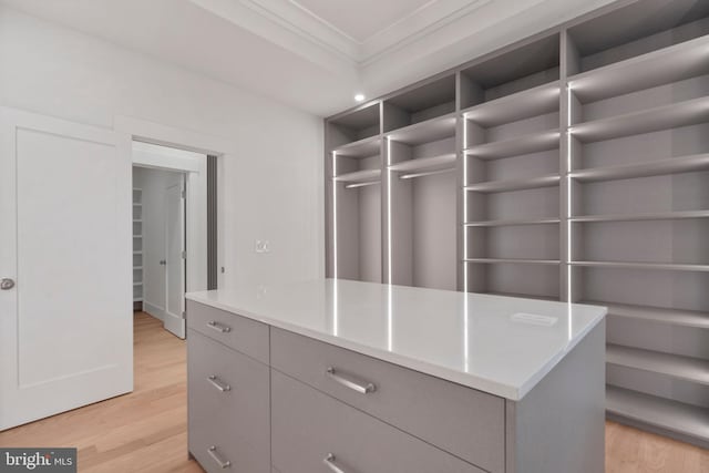 walk in closet with light wood-style floors