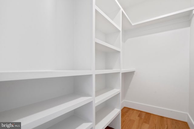 spacious closet with wood finished floors