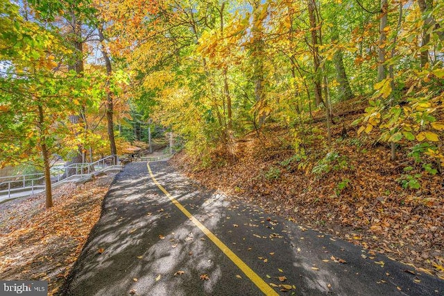 view of road featuring a wooded view