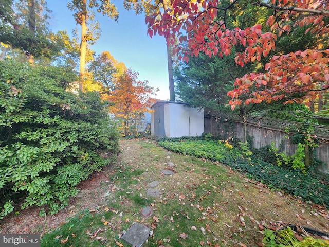 view of yard featuring a storage unit