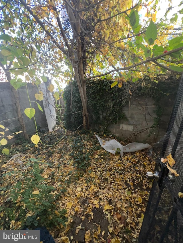 1745 W Seybert St, Philadelphia, PA 19121 - view of yard featuring fence