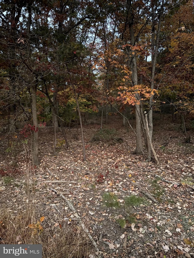 National Pike, Clear Spring MD, 21722 land for sale