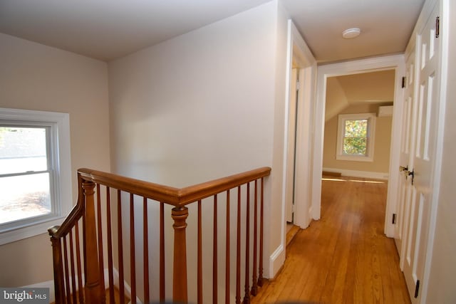 corridor featuring light hardwood / wood-style floors, a healthy amount of sunlight, and lofted ceiling