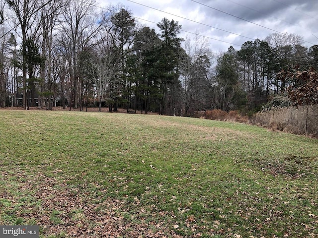 345 Collins Rd, Bishopville MD, 21813 land for sale