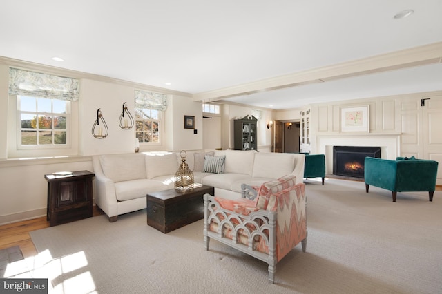 living room with light hardwood / wood-style floors, plenty of natural light, and ornamental molding