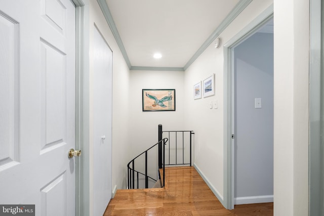 hall featuring ornamental molding and hardwood / wood-style floors