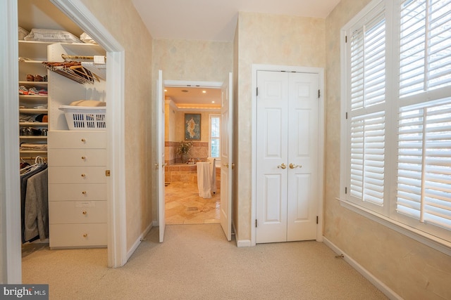 interior space with light colored carpet