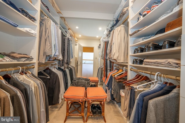 spacious closet with light carpet