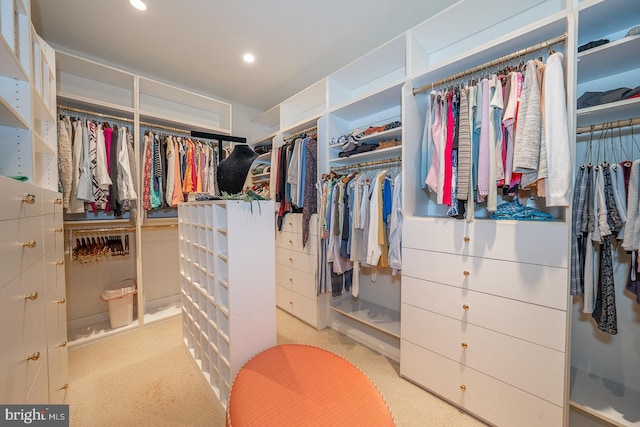 walk in closet with light colored carpet