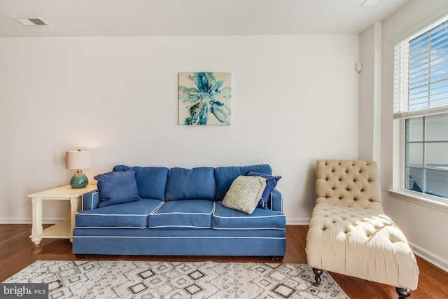 living room featuring hardwood / wood-style floors