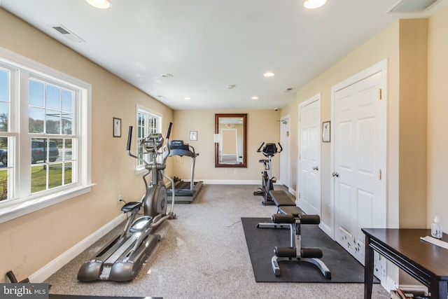 exercise room featuring carpet floors