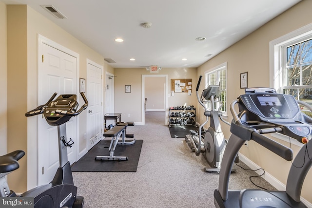 exercise room featuring carpet