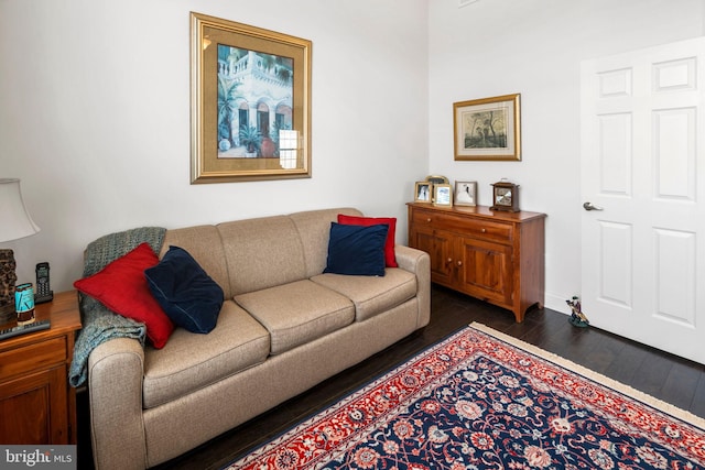 living room with dark wood-type flooring