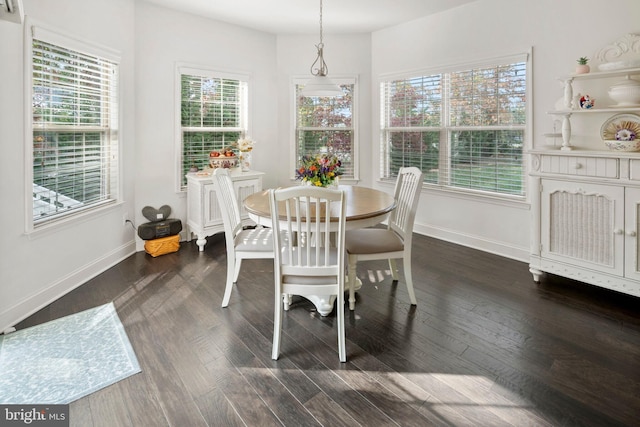 dining room with a healthy amount of sunlight and dark wood-type flooring