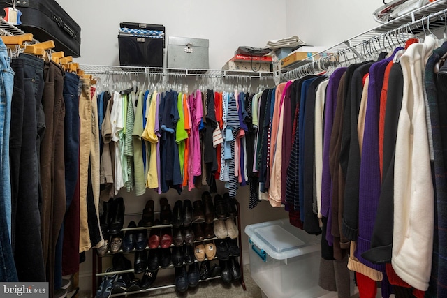 spacious closet with carpet