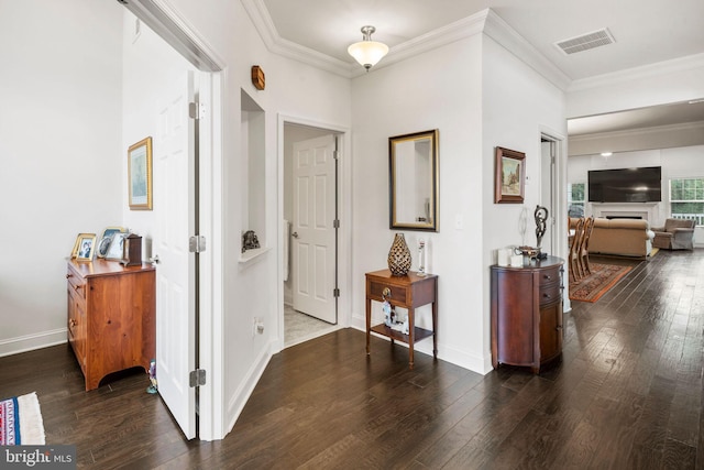 hallway with crown molding and dark wood-type flooring