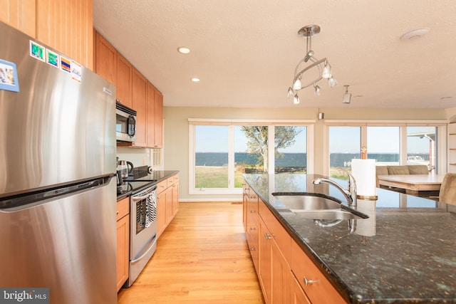 kitchen featuring sink, light wood-type flooring, hanging light fixtures, stainless steel appliances, and a wealth of natural light