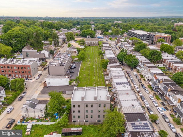 drone / aerial view