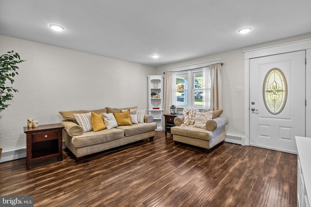 living room with dark hardwood / wood-style floors