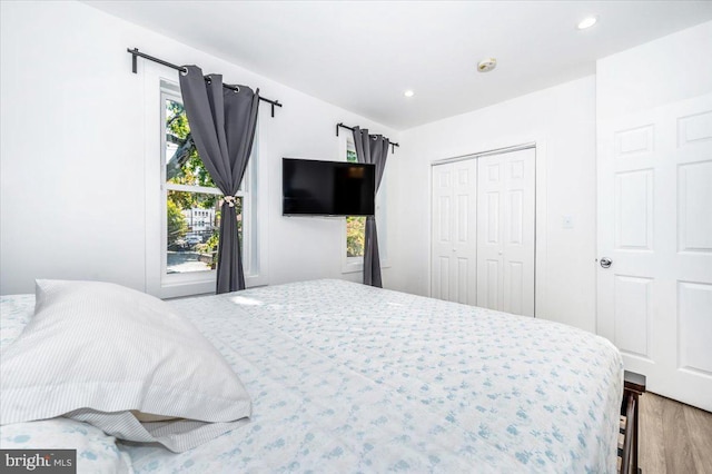 bedroom with a closet and wood-type flooring