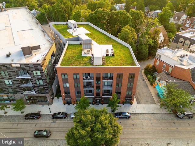 bird's eye view